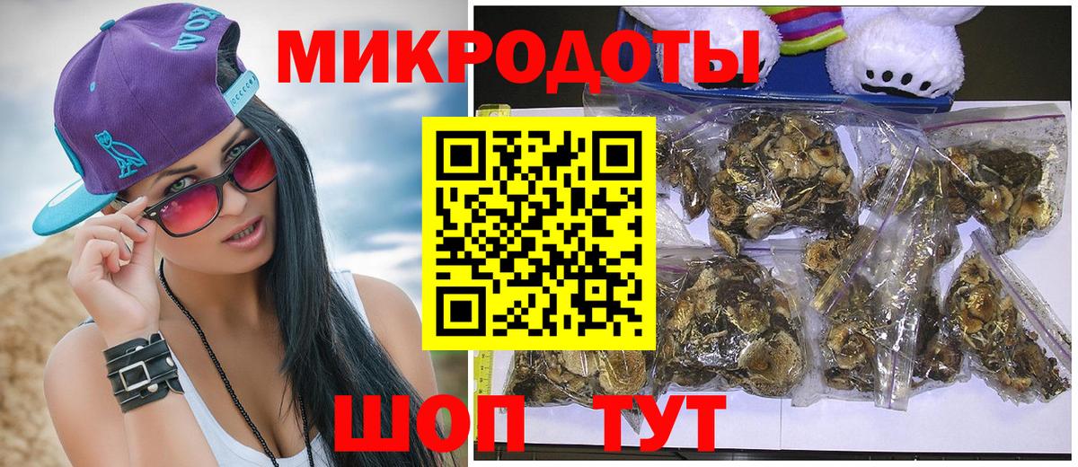 Юрга  Галлюциногенные грибы GOLDEN TEACHER  купить   Вход с VPN  Галлюциногенные грибы Psilocybe 